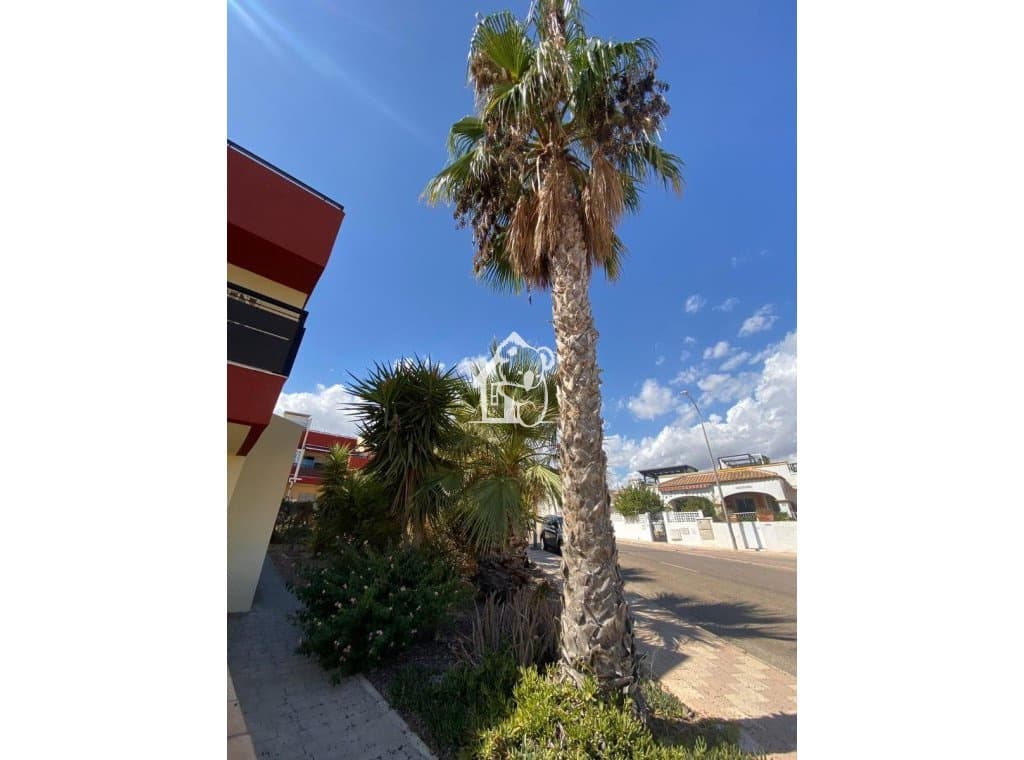 2 bedroom Apartment for rent in San Fulgencio with pool - € 1,350 (Ref: 9449993)