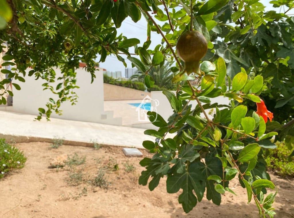 4 quarto Moradia para arrendar em Torrevieja com piscina - 2 100 € (Ref: 9650973)