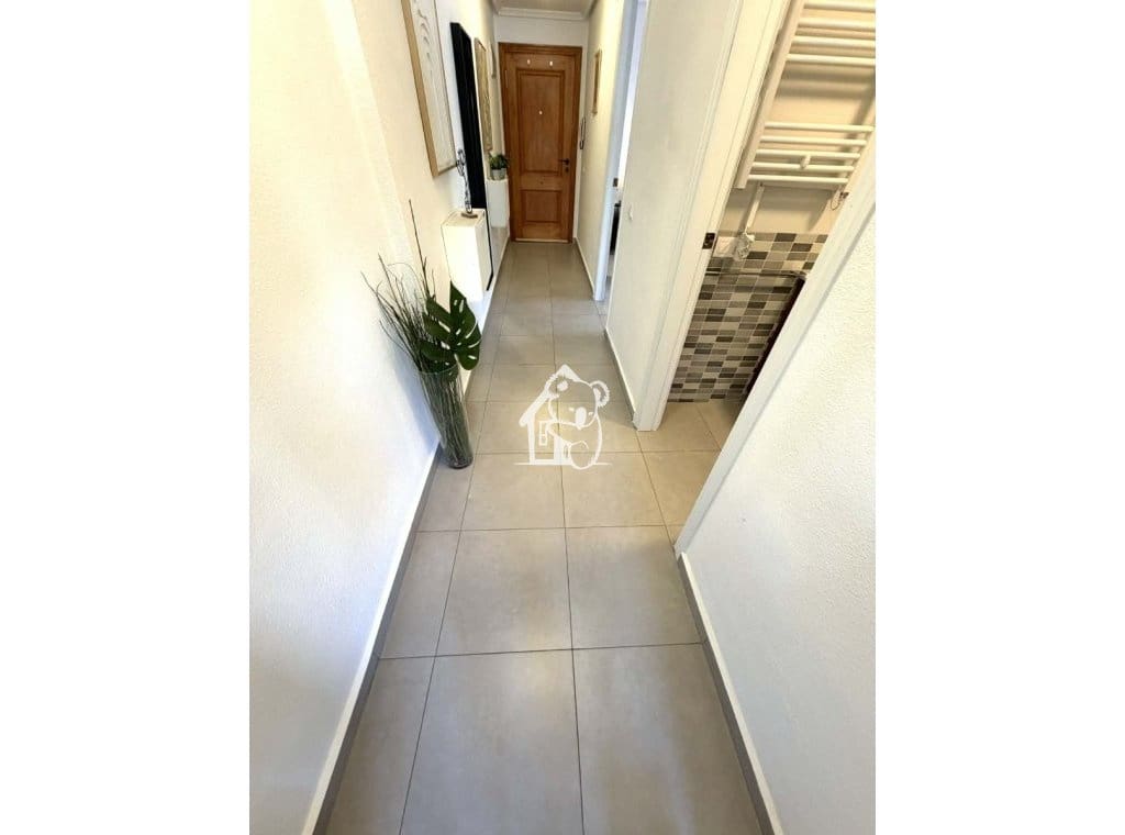 1 bedroom Penthouse for rent in Torrevieja - € 850 (Ref: 9689272)