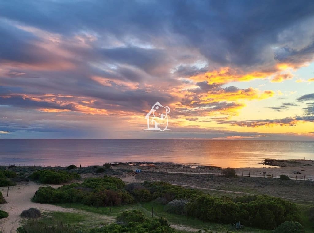 2 bedroom Beach Apartment for rent in La Mata with pool - € 1,500 (Ref: 9719319)