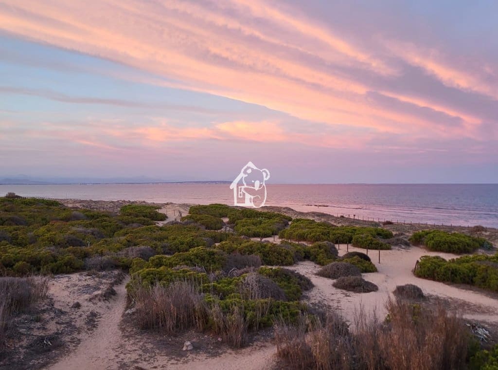 2 bedroom Beach Apartment for rent in La Mata with pool - € 1,500 (Ref: 9719319)