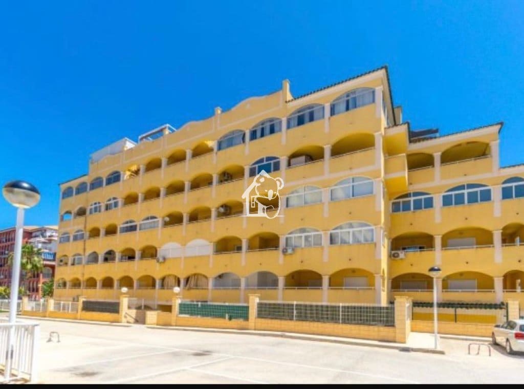 2 bedroom Beach Apartment for rent in La Mata with pool garage - € 950 (Ref: 9726225)