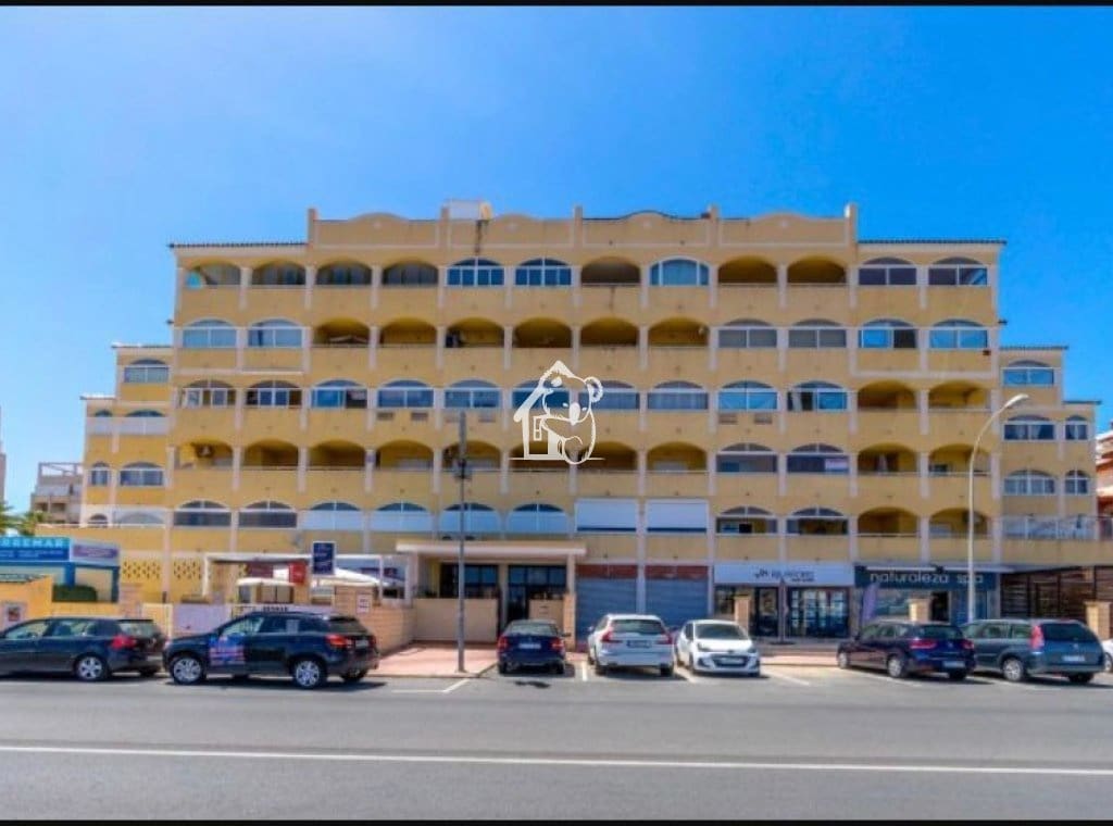 2 bedroom Beach Apartment for rent in La Mata with pool garage - € 950 (Ref: 9726225)