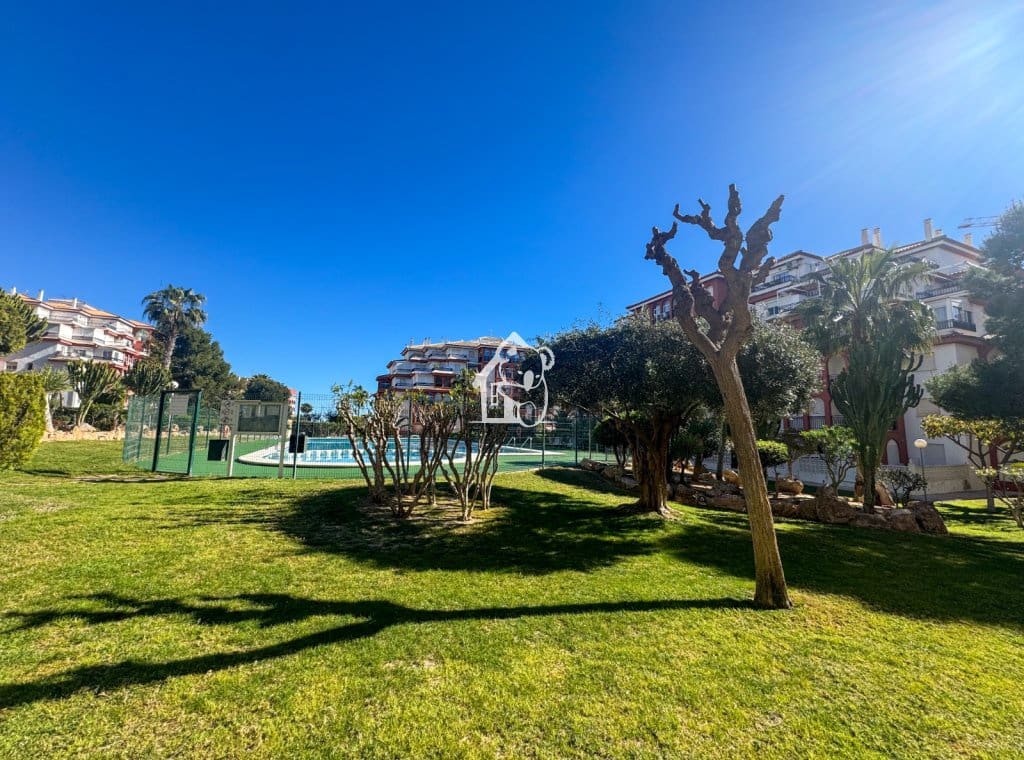 2 slaapkamer Strandappartement te huur in La Mata met zwembad garage - € 950 (Ref: 9726225)
