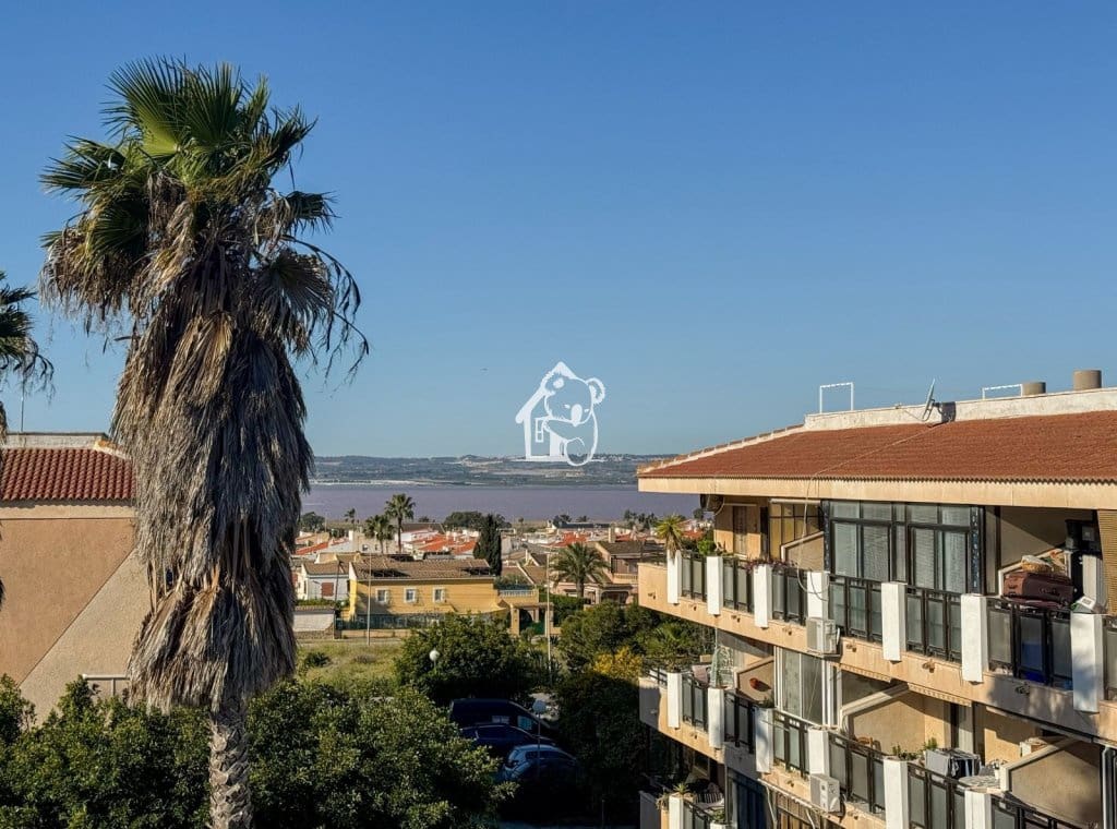 3 bedroom Apartment for rent in Torrevieja - € 900 (Ref: 9731501)