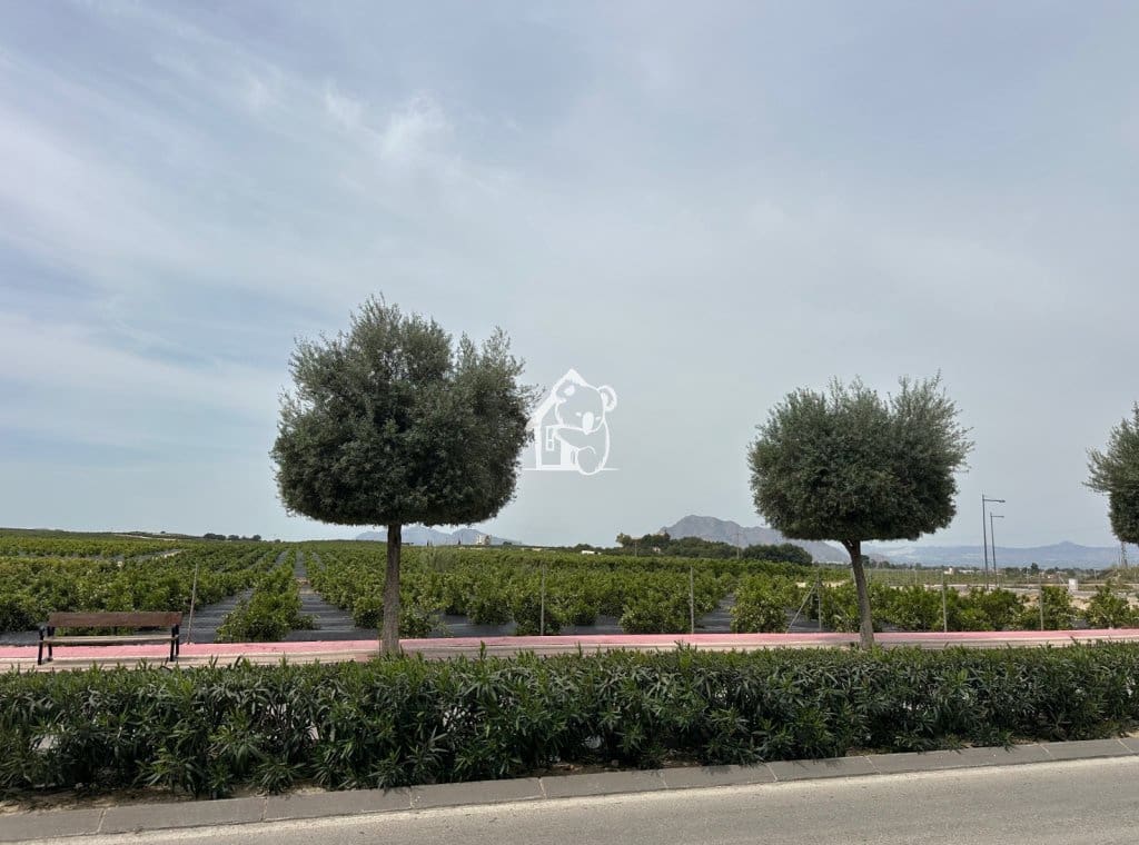 2 soverom Leilighet til leie i Algorfa med svømmebasseng garasje - € 850 (Ref: 9751474)