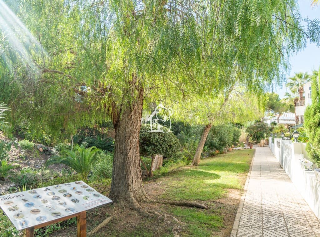 3 soveværelse Byhus til leje i Villamartin med swimmingpool - € 1.600 (Ref: 9772536)