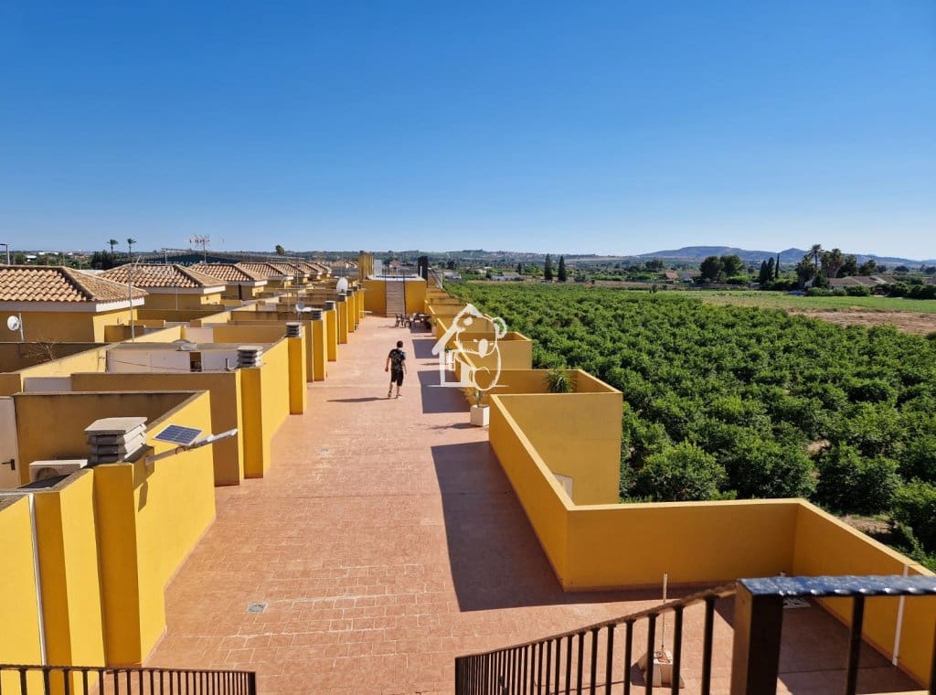 2 bedroom Apartment for rent in Daya Nueva with pool - € 900 (Ref: 9772540)