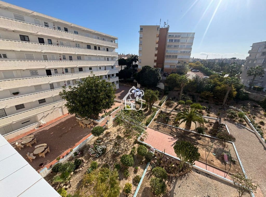 1 Zimmer Apartment zu vermieten in Torrevieja - 650 € (Ref: 9805861)