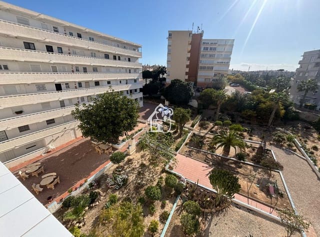 1 Zimmer Apartment zu vermieten in Torreblanca, Torrevieja - 650 € (Ref: 9805861)