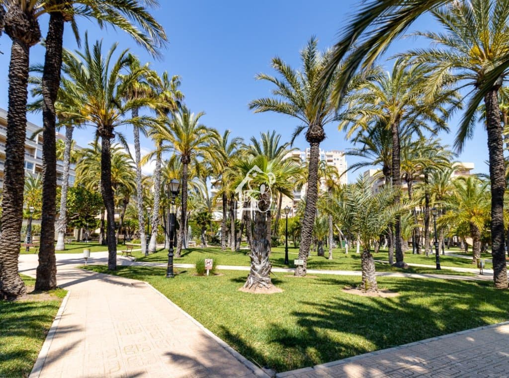 3 bedroom Apartment for rent in Torrevieja with pool - € 1,200 (Ref: 9838754)