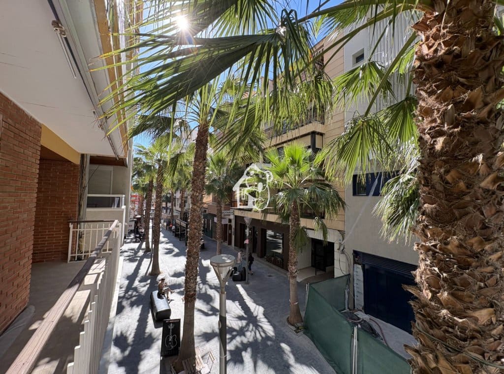 4 chambre Appartement à vendre à Torrevieja - 285 000 € (Ref: 9850771)