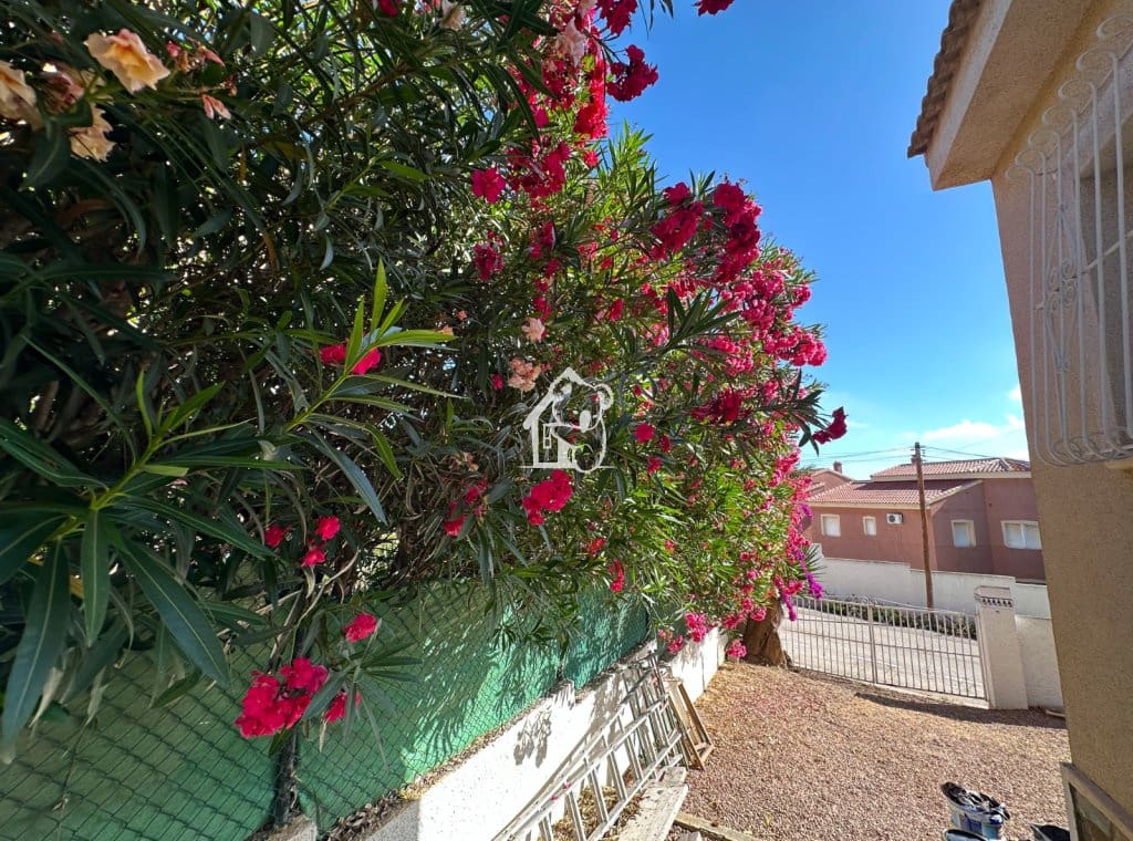 3 bedroom Villa for rent in Ciudad Quesada with pool - € 1,500 (Ref: 9902664)