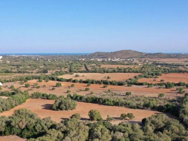 Terre non Aménagée à vendre à Sant Llorenc des Cardassar - 2 750 000 € (Ref: 10150591)