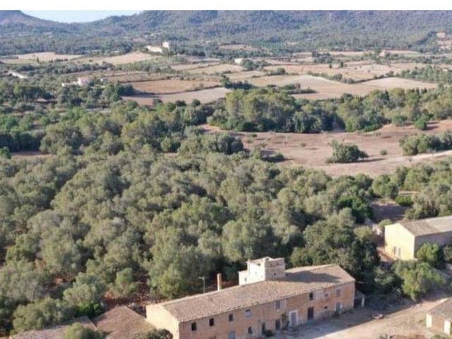 Terre non Aménagée à vendre à Sant Llorenc des Cardassar - 2 750 000 € (Ref: 10150591)