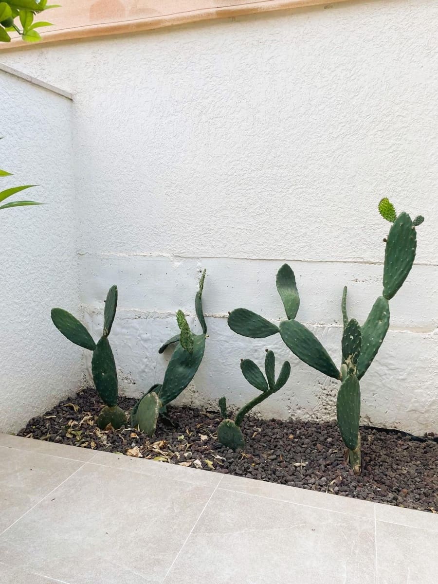 3 camera da letto Villetta a Schiera da affittare in Palma de Mallorca con garage - 2.100 € (Rif: 9059536)