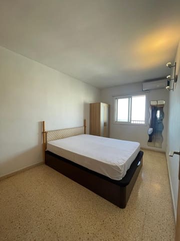 1 soverom Leilighet til leie i Can Pastilla, Palma de Mallorca - € 1 000 (Ref: 9486775)