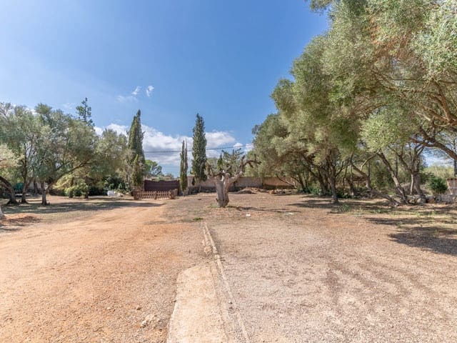 Undeveloped Land for sale in Sencelles - € 1,800,000 (Ref: 9703353)