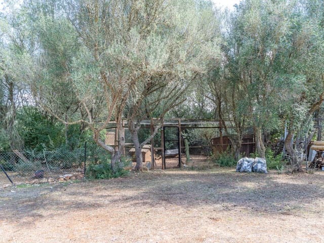 Undeveloped Land for sale in Sencelles - € 1,800,000 (Ref: 9703353)