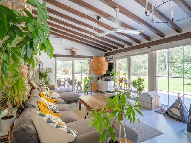 Undeveloped Land for sale in Sencelles - € 1,800,000 (Ref: 9703353)