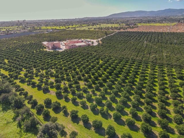 Finca/Country House for sale in Marratxi with garage - € 2,980,000 (Ref: 9865572)