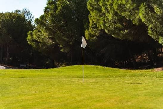 4 bedroom Villa for sale in Estepona with pool garage - € 2,190,000 (Ref: 10013432)