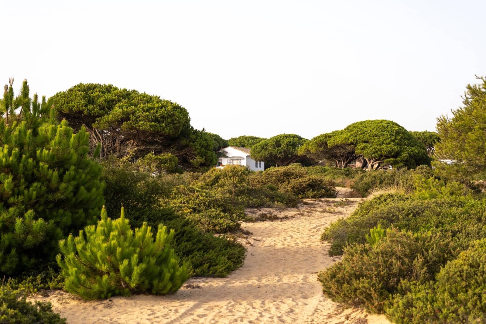 3 sypialnia Apartament na sprzedaż w La Reserva z garażem - 1 250 000 € (Ref: 8626932)