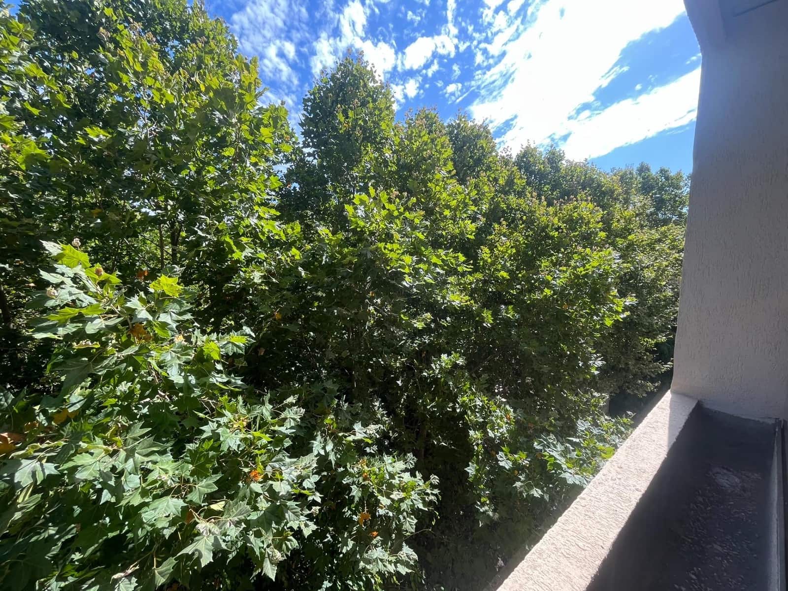 4 slaapkamer Flat te huur in Marbella met zwembad garage - € 2.200 (Ref: 9126832)