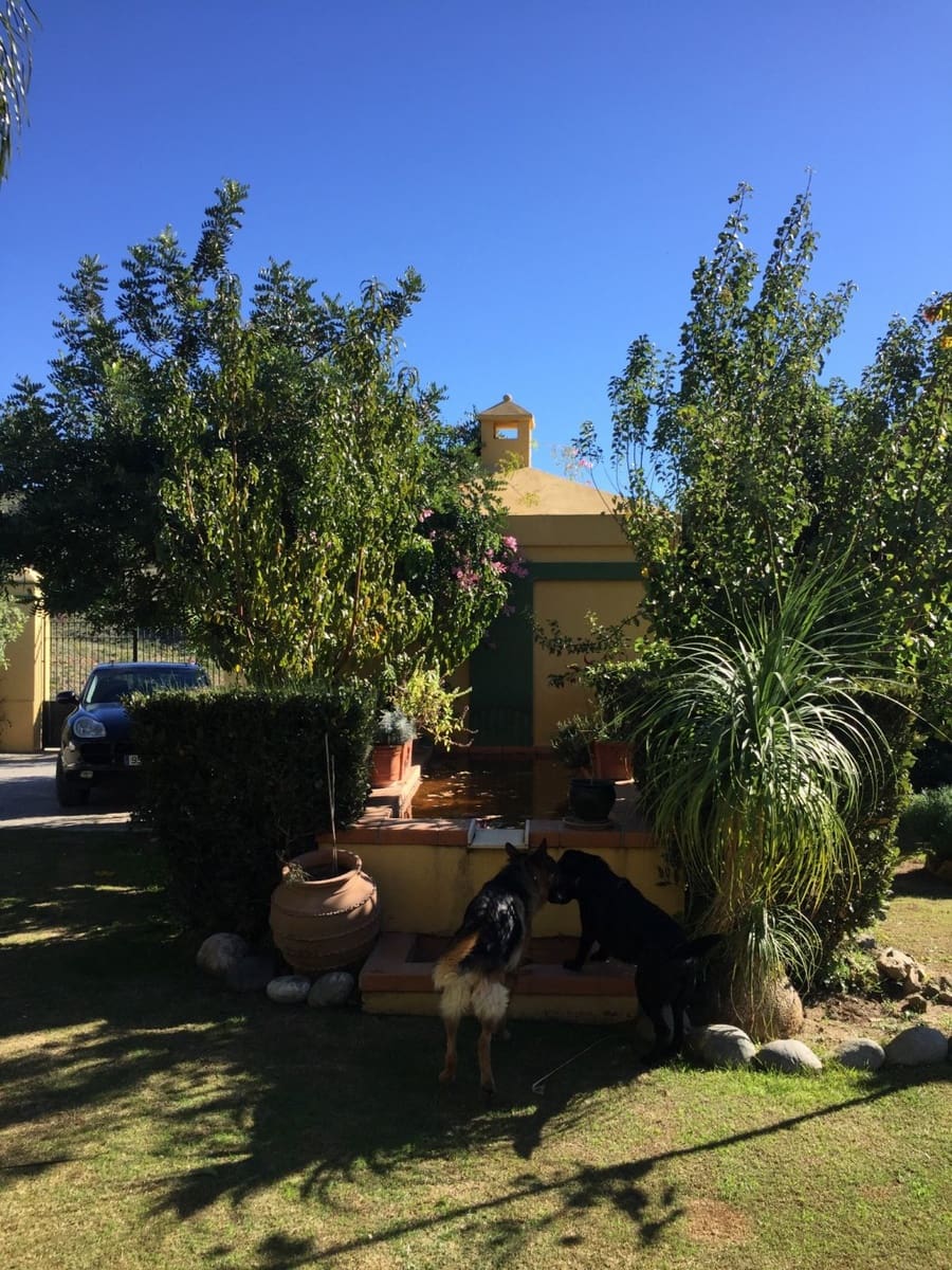 Finca/Casa Rural de 5 habitaciones en Ojen en venta con piscina garaje - 1.500.000 € (Ref: 9449390)