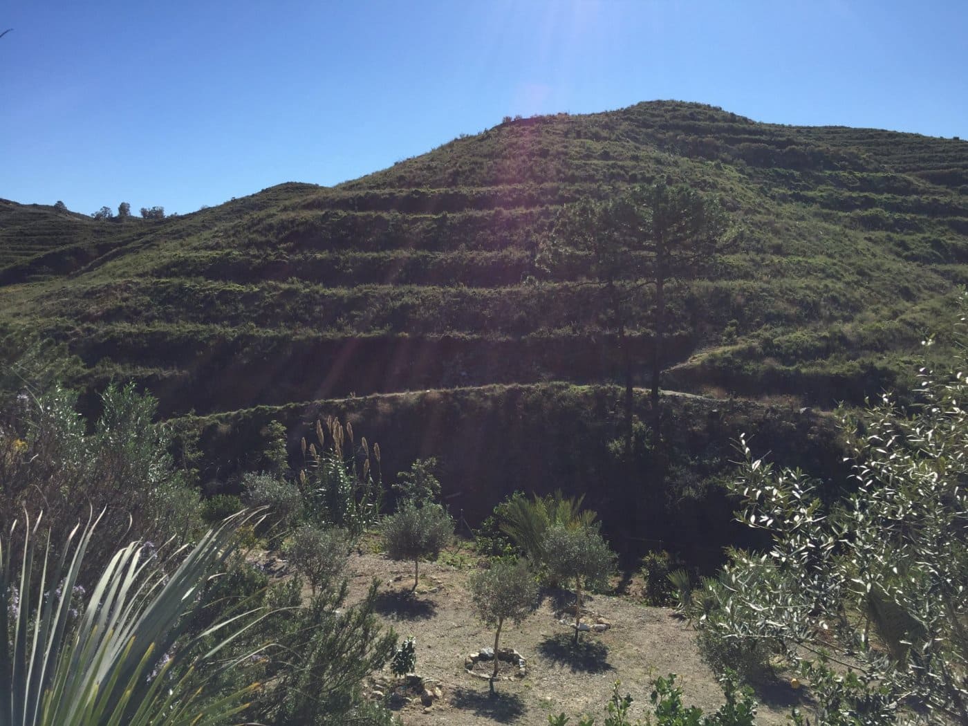Finca/Casa Rural de 5 habitaciones en Ojen en venta con piscina garaje - 1.500.000 € (Ref: 9449390)