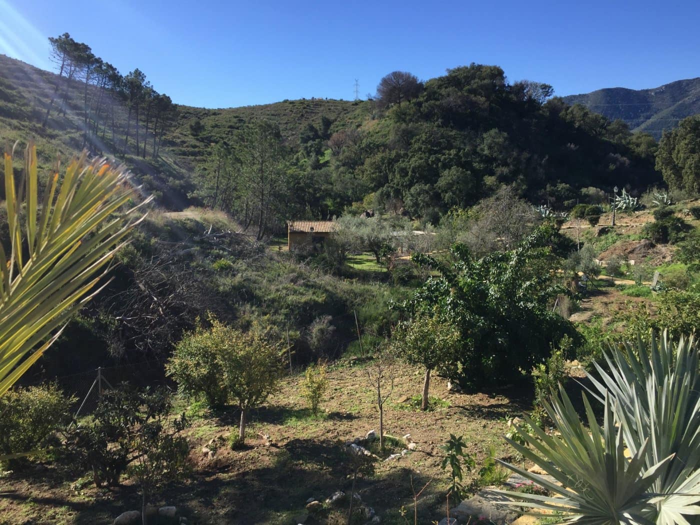 Finca/Casa Rural de 5 habitaciones en Ojen en venta con piscina garaje - 1.500.000 € (Ref: 9449390)