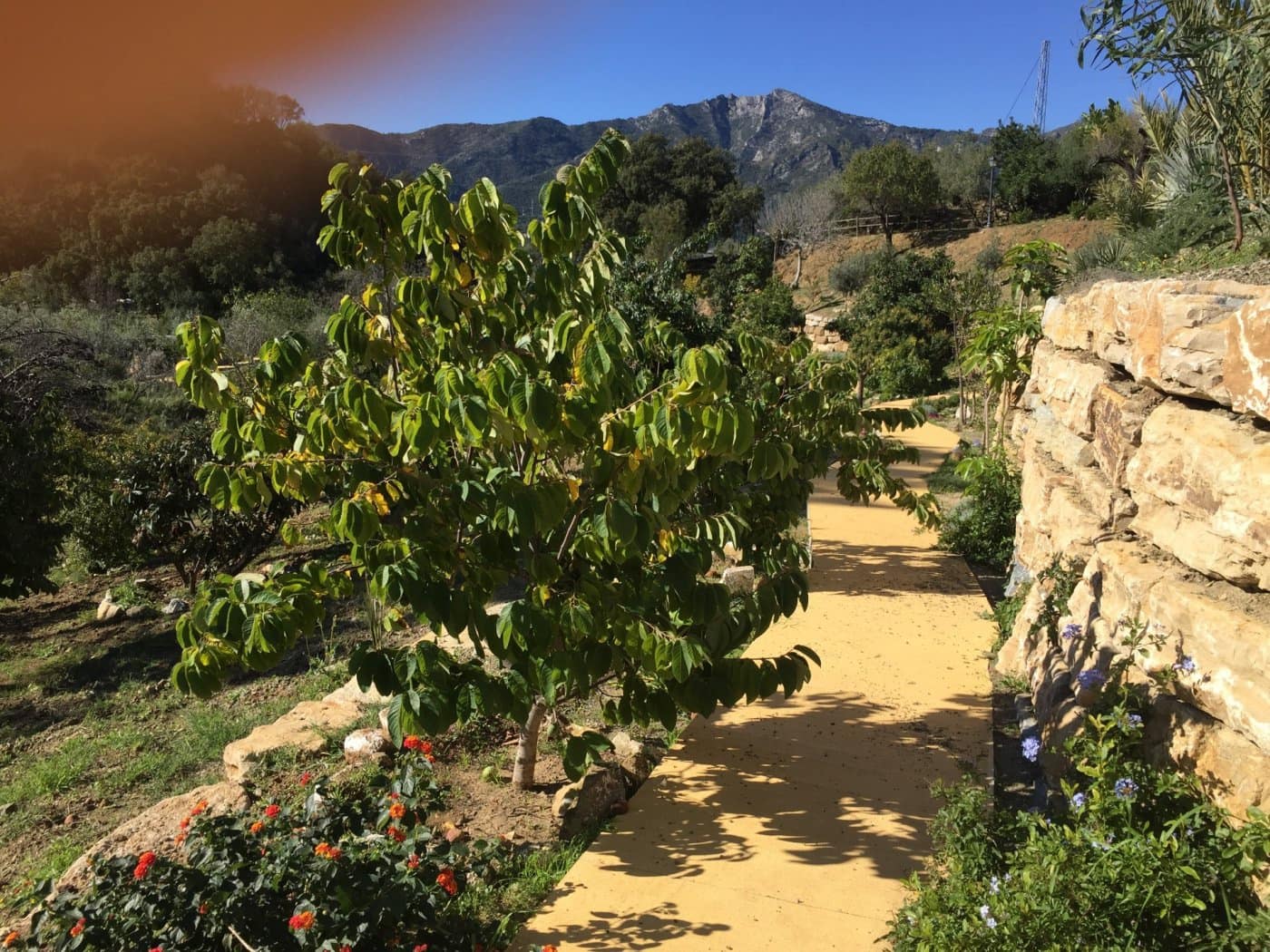 Finca/Casa Rural de 5 habitaciones en Ojen en venta con piscina garaje - 1.500.000 € (Ref: 9449390)