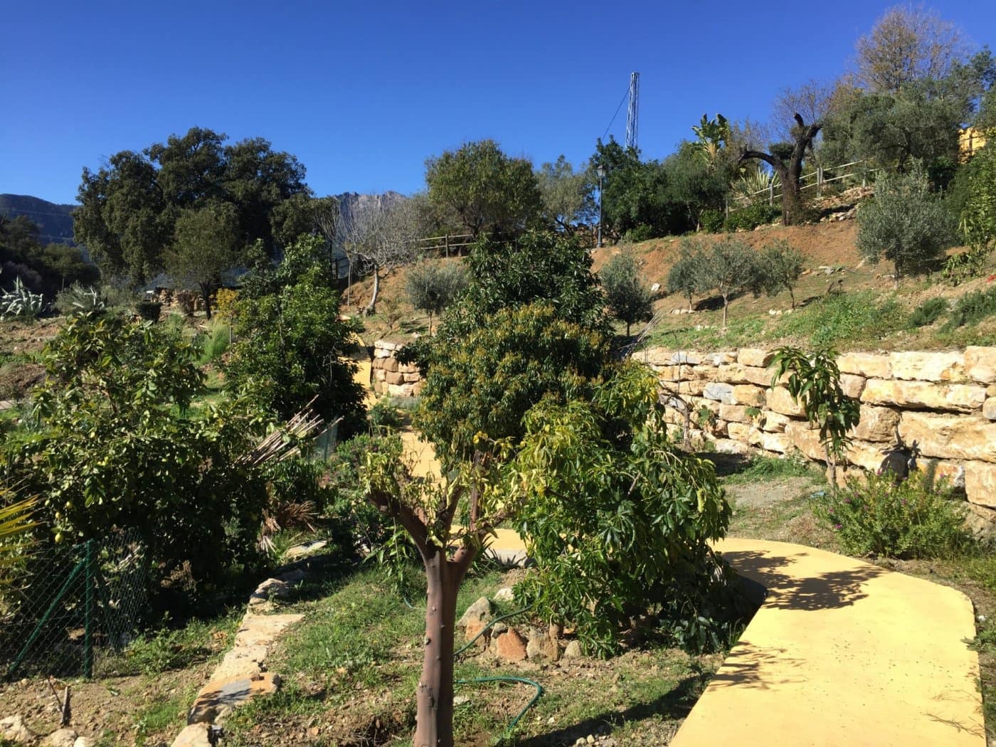 Finca/Casa Rural de 5 habitaciones en Ojen en venta con piscina garaje - 1.500.000 € (Ref: 9449390)