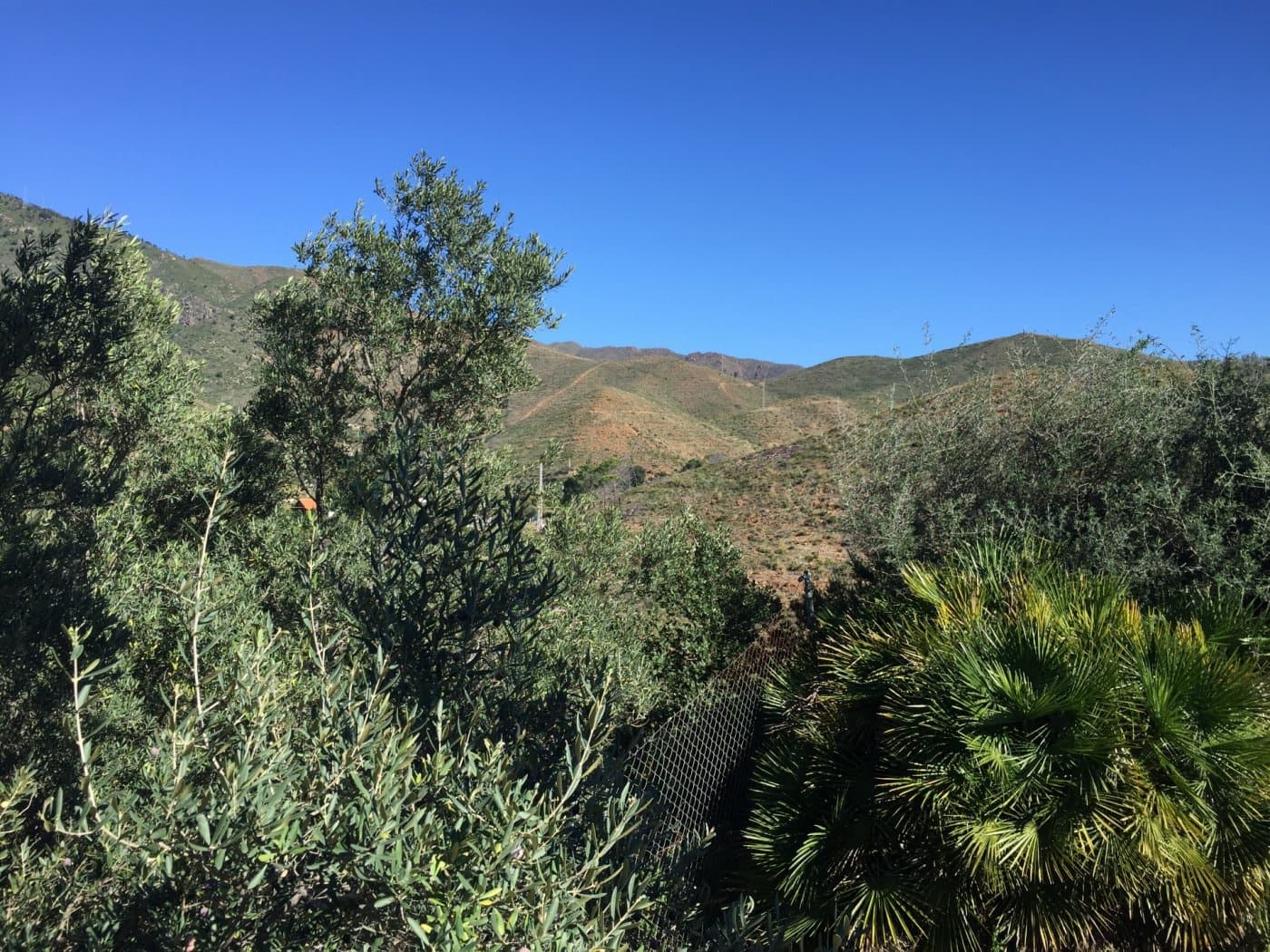 Finca/Casa Rural de 5 habitaciones en Ojen en venta con piscina garaje - 1.500.000 € (Ref: 9449390)