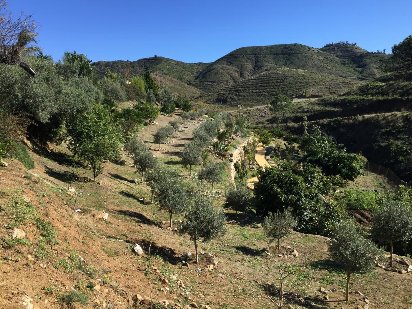 Finca/Casa Rural de 5 habitaciones en Ojen en venta con piscina garaje - 1.500.000 € (Ref: 9449390)