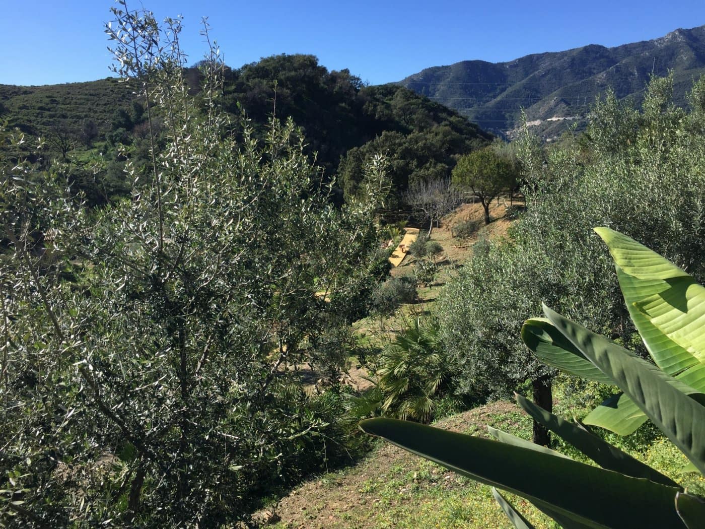 Finca/Casa Rural de 5 habitaciones en Ojen en venta con piscina garaje - 1.500.000 € (Ref: 9449390)