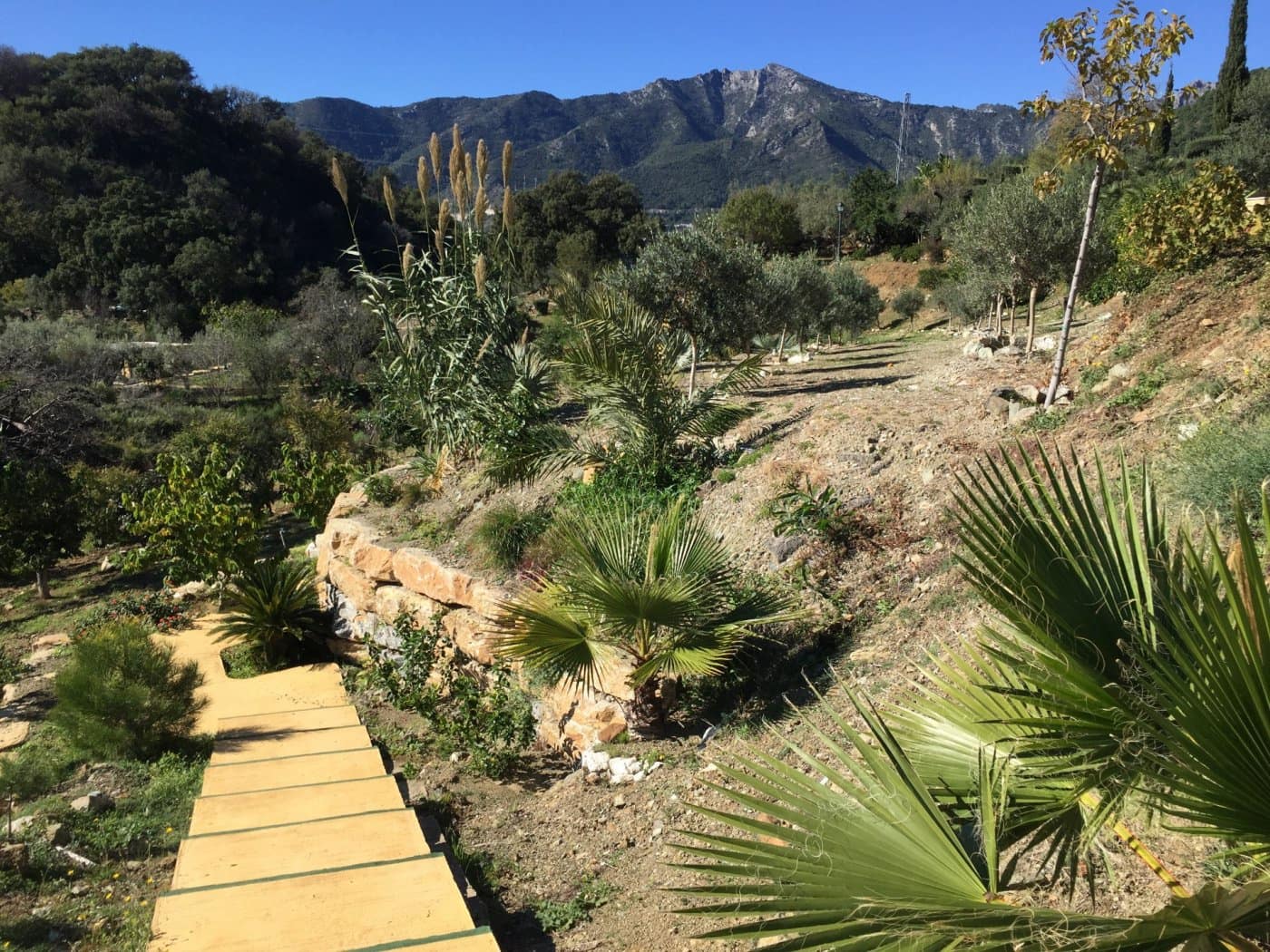 Finca/Casa Rural de 5 habitaciones en Ojen en venta con piscina garaje - 1.500.000 € (Ref: 9449390)