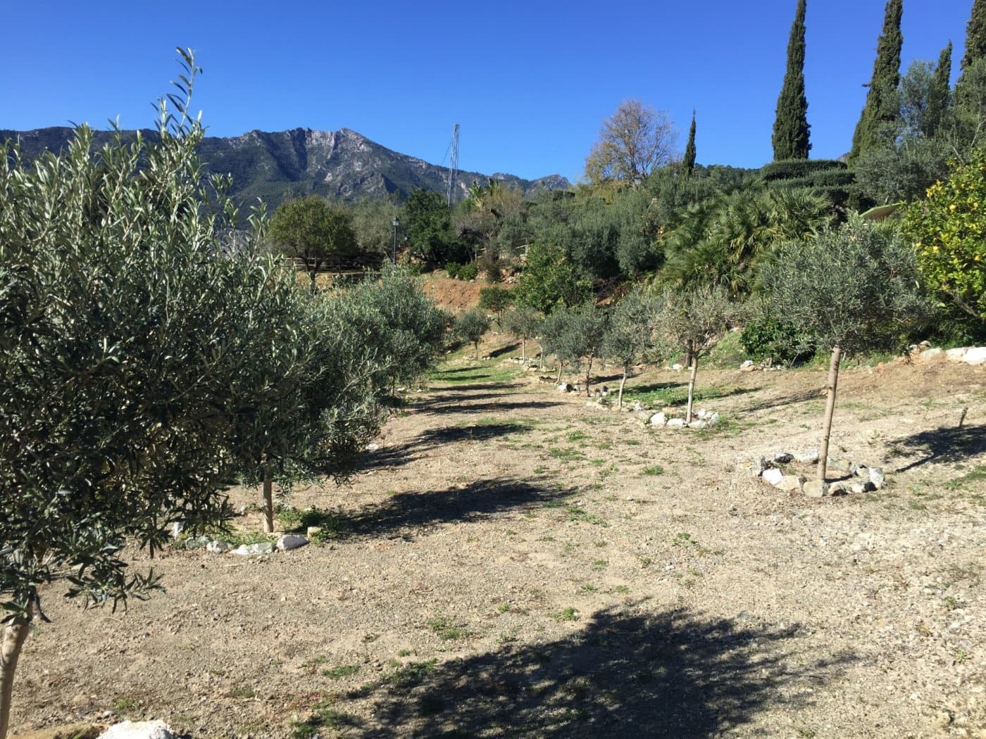 Finca/Casa Rural de 5 habitaciones en Ojen en venta con piscina garaje - 1.500.000 € (Ref: 9449390)