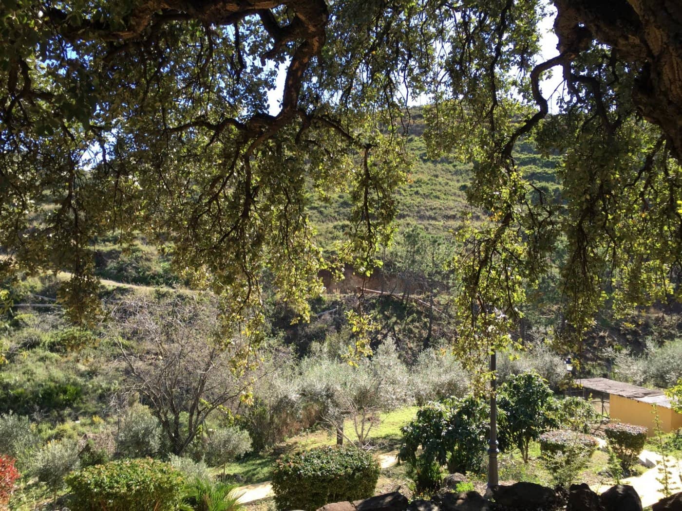 Finca/Casa Rural de 5 habitaciones en Ojen en venta con piscina garaje - 1.500.000 € (Ref: 9449390)