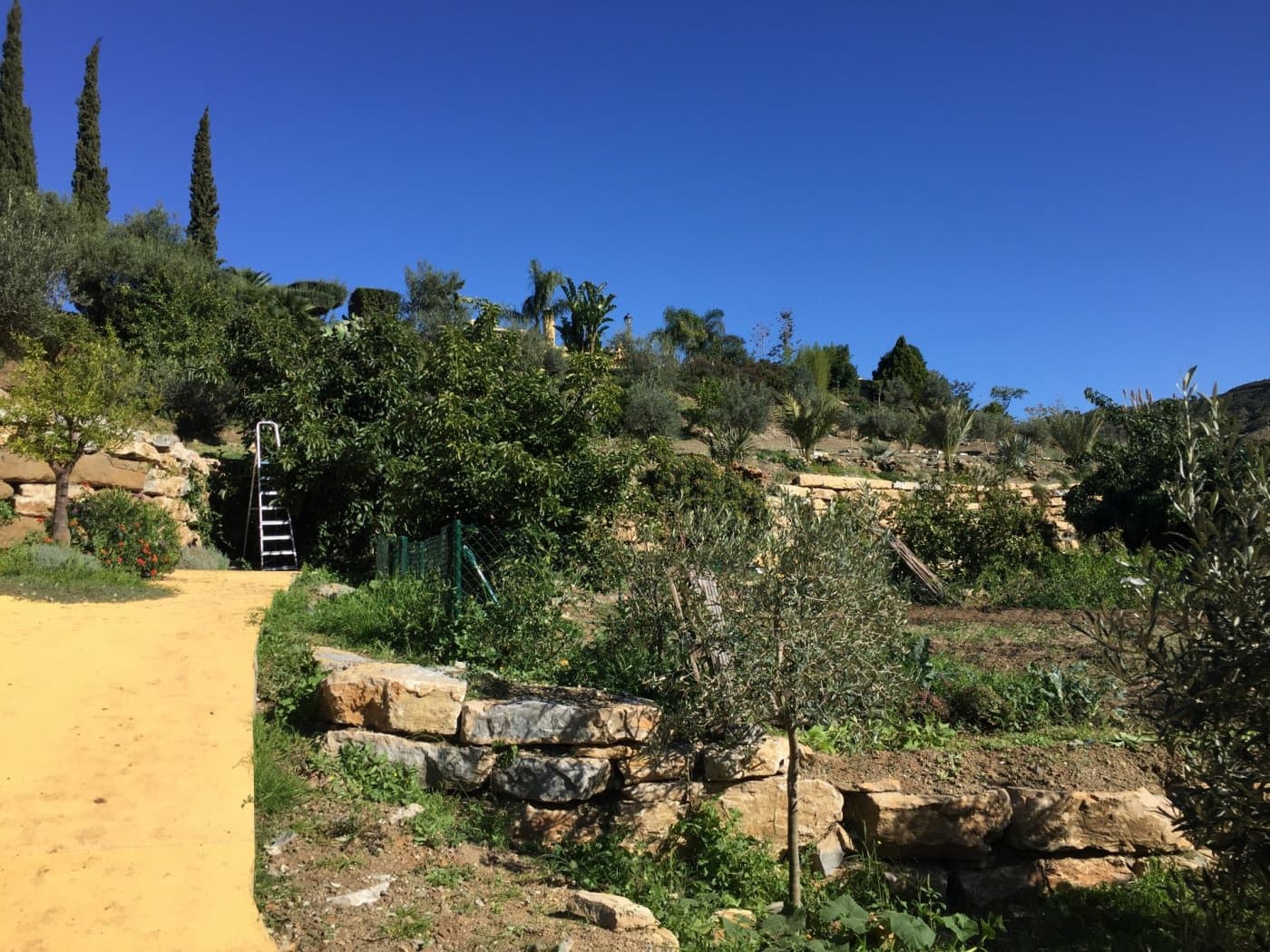 Finca/Casa Rural de 5 habitaciones en Ojen en venta con piscina garaje - 1.500.000 € (Ref: 9449390)