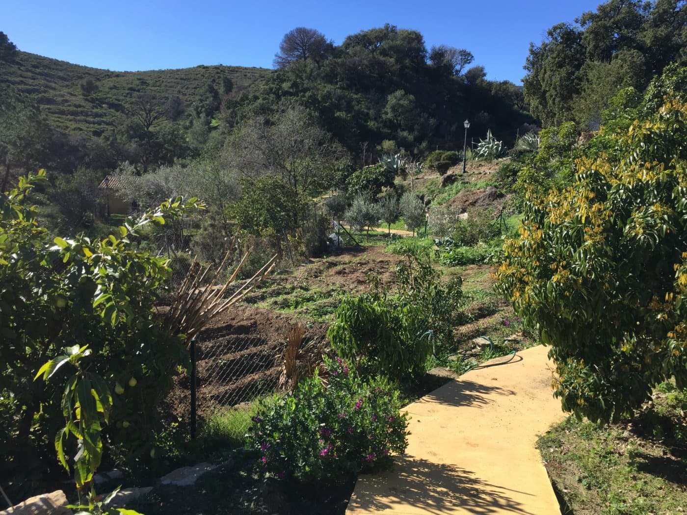 Finca/Casa Rural de 5 habitaciones en Ojen en venta con piscina garaje - 1.500.000 € (Ref: 9449390)