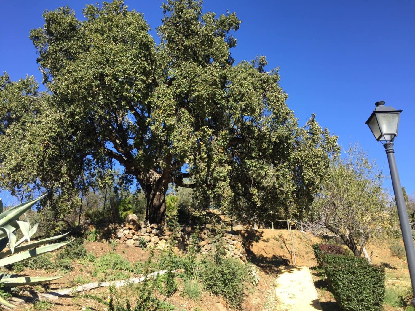 Finca/Casa Rural de 5 habitaciones en Ojen en venta con piscina garaje - 1.500.000 € (Ref: 9449390)