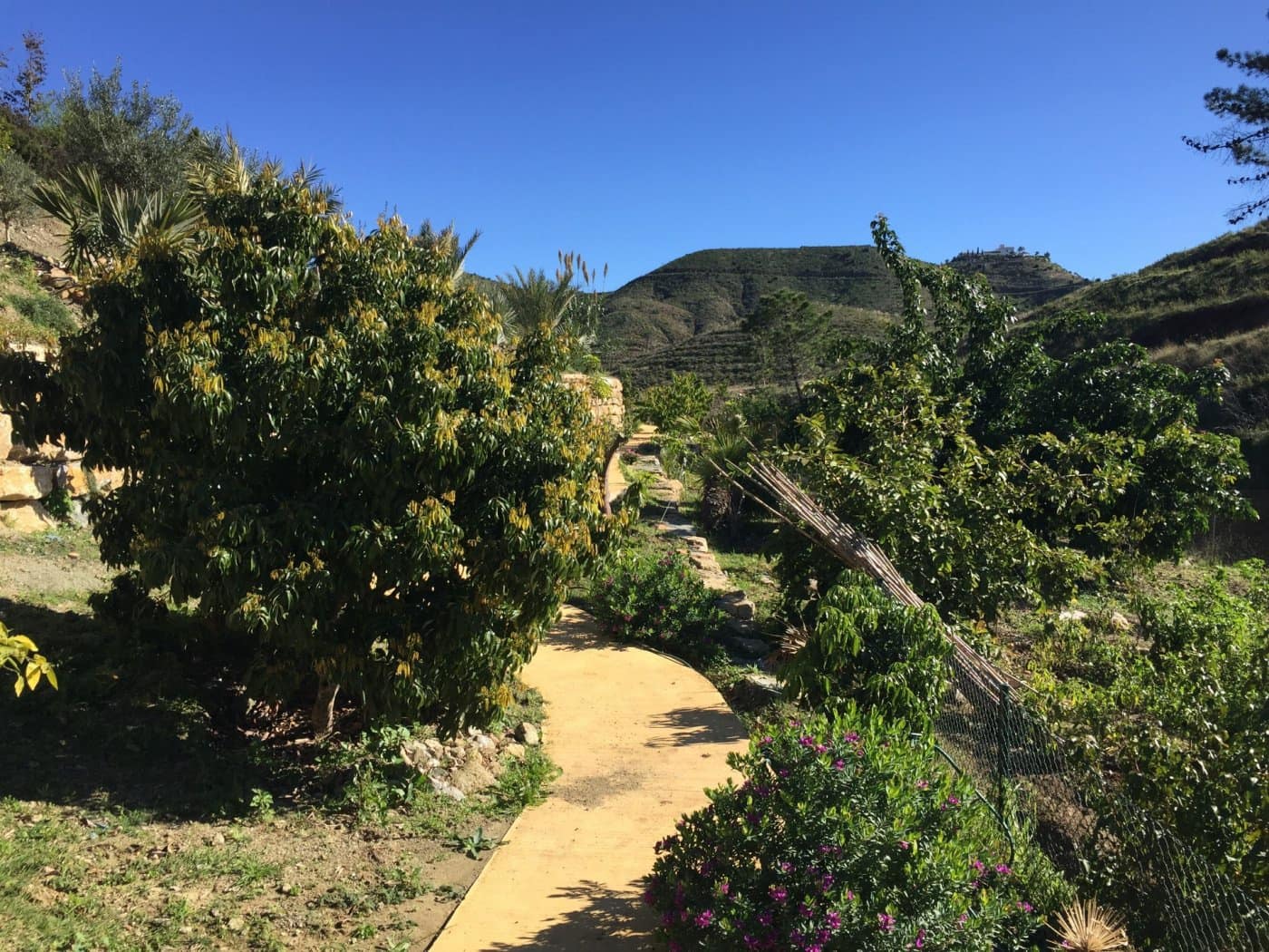 Finca/Casa Rural de 5 habitaciones en Ojen en venta con piscina garaje - 1.500.000 € (Ref: 9449390)