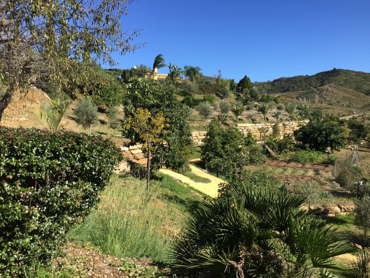 Finca/Casa Rural de 5 habitaciones en Ojen en venta con piscina garaje - 1.500.000 € (Ref: 9449390)