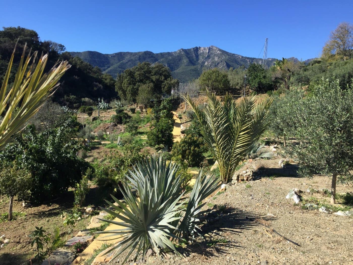 Finca/Casa Rural de 5 habitaciones en Ojen en venta con piscina garaje - 1.500.000 € (Ref: 9449390)