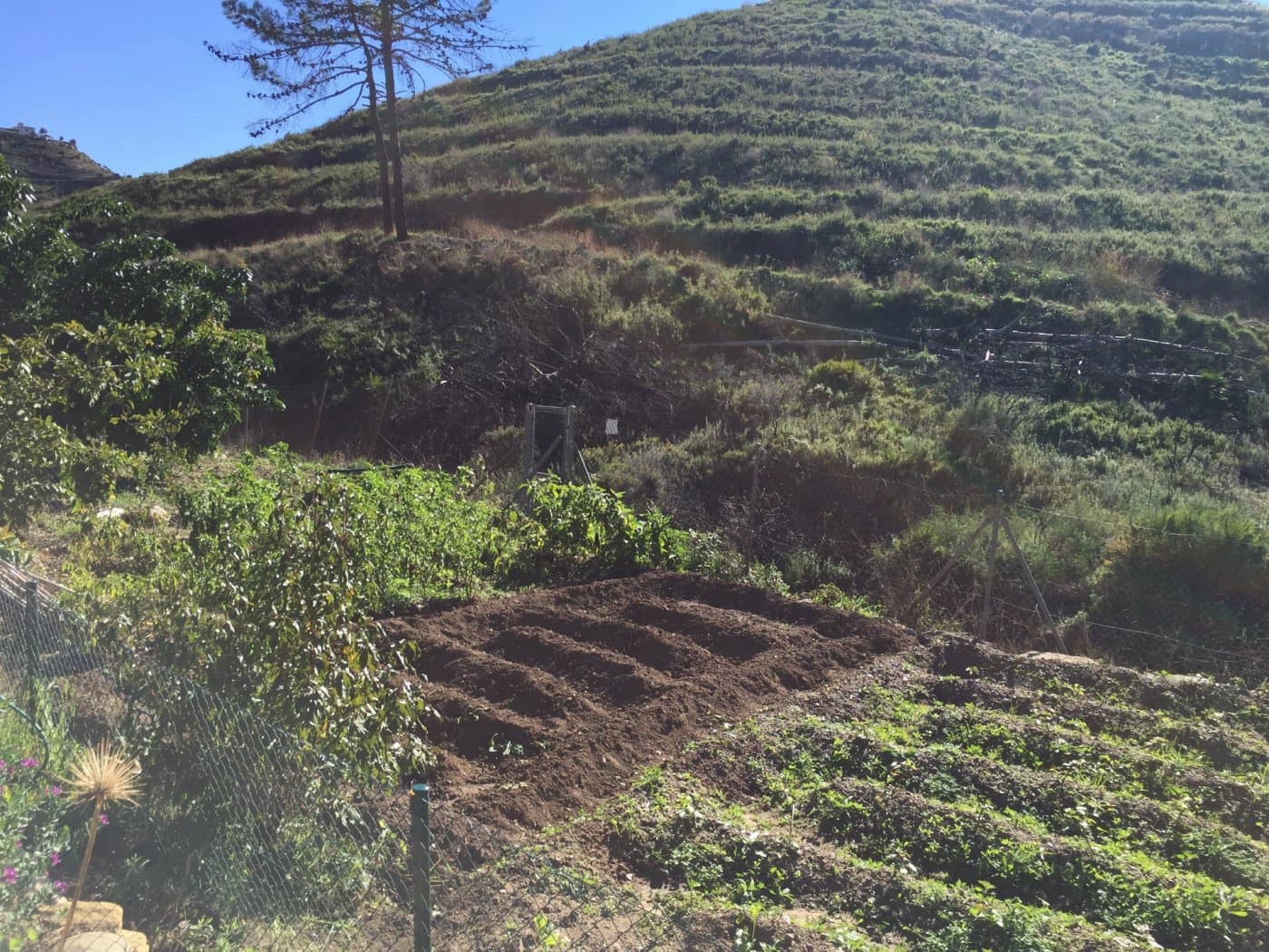 Finca/Casa Rural de 5 habitaciones en Ojen en venta con piscina garaje - 1.500.000 € (Ref: 9449390)