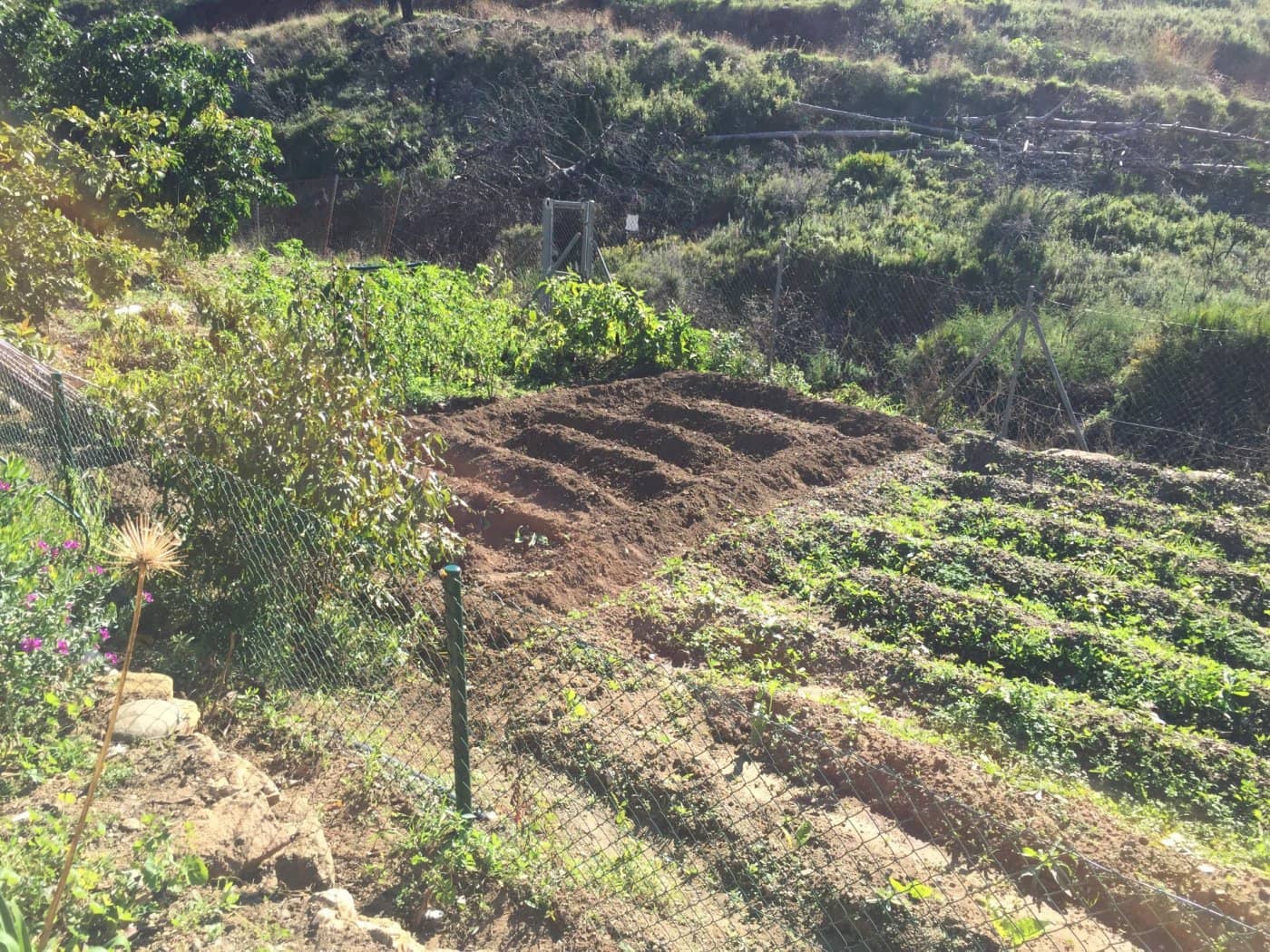 Finca/Casa Rural de 5 habitaciones en Ojen en venta con piscina garaje - 1.500.000 € (Ref: 9449390)