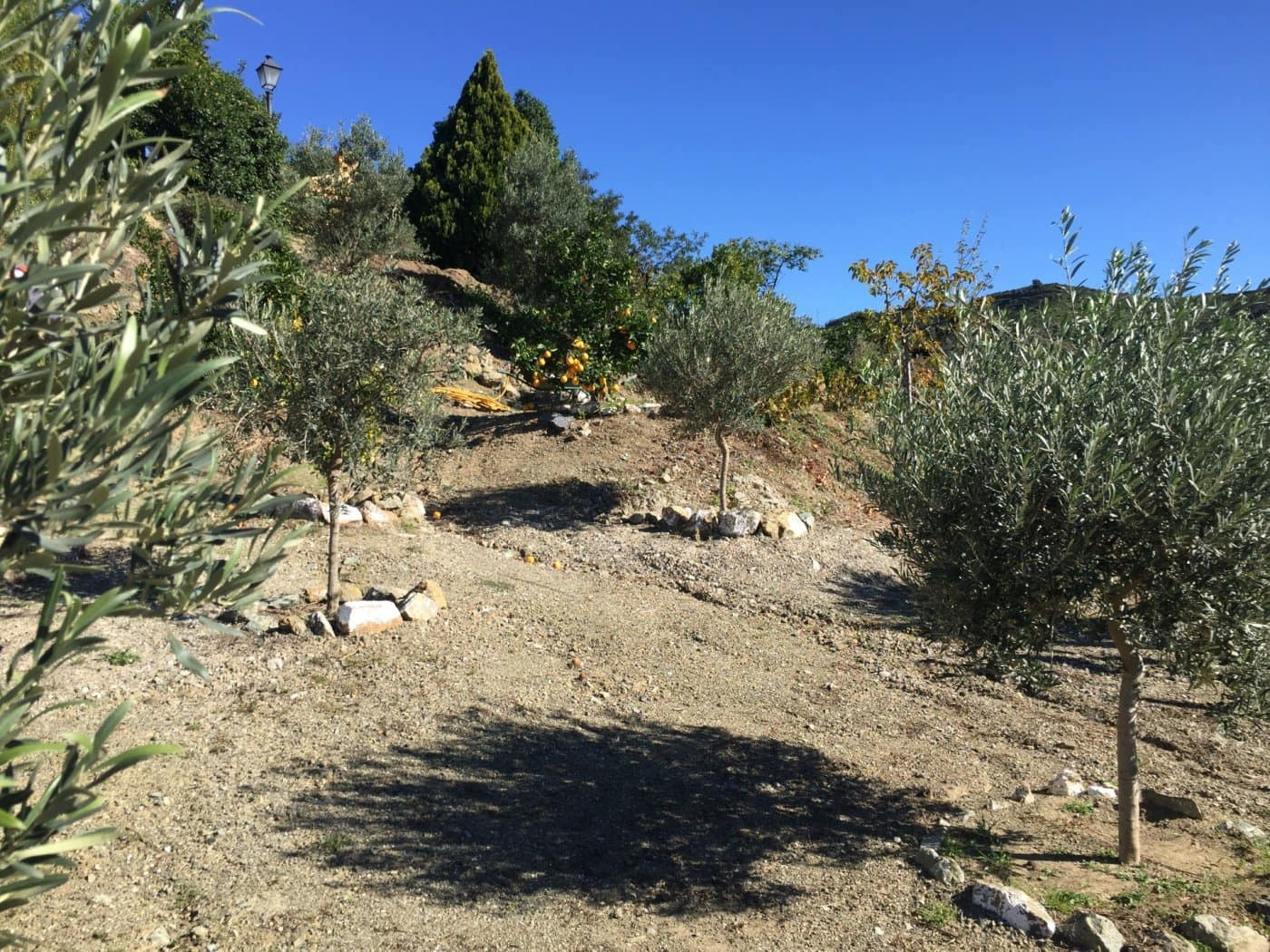 Finca/Casa Rural de 5 habitaciones en Ojen en venta con piscina garaje - 1.500.000 € (Ref: 9449390)