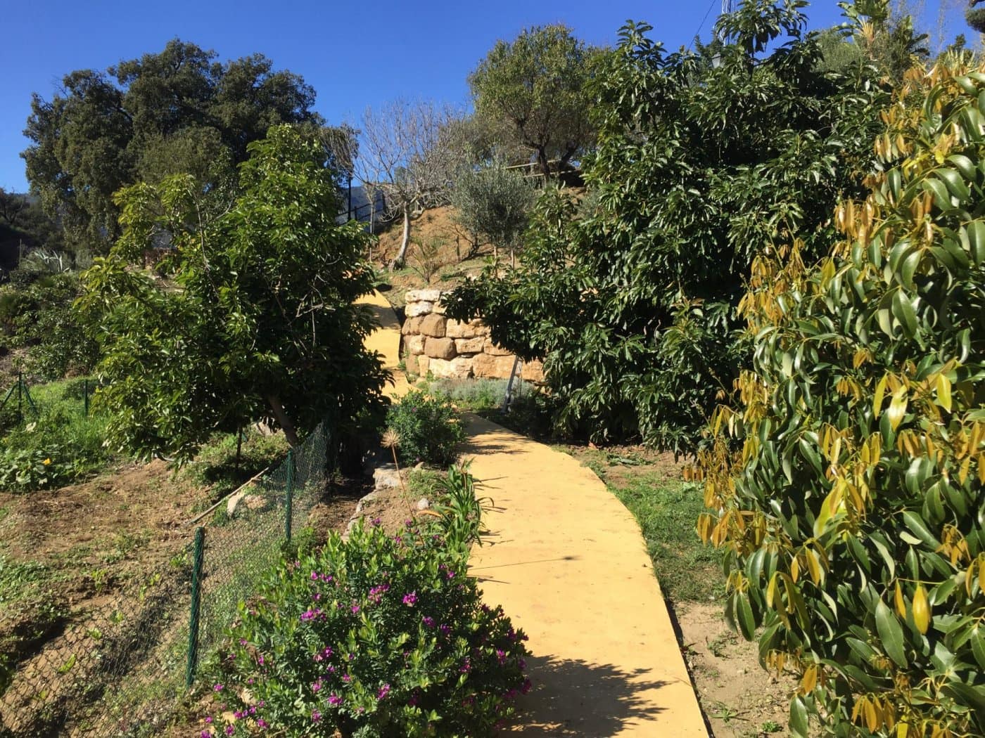 Finca/Casa Rural de 5 habitaciones en Ojen en venta con piscina garaje - 1.500.000 € (Ref: 9449390)