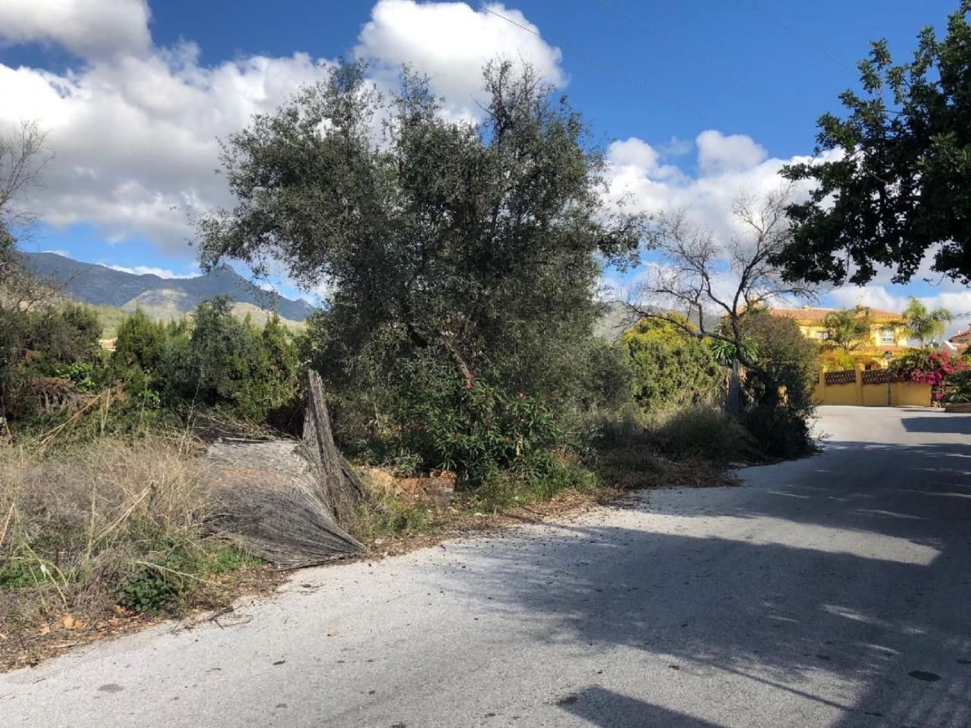 Undeveloped Land for sale in Marbella - € 250,000 (Ref: 9599620)